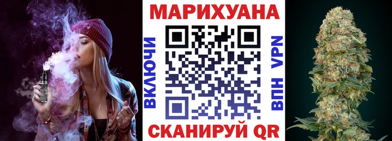shop наркотические препараты  Зеленогорск  Канабис планчик  где найти  